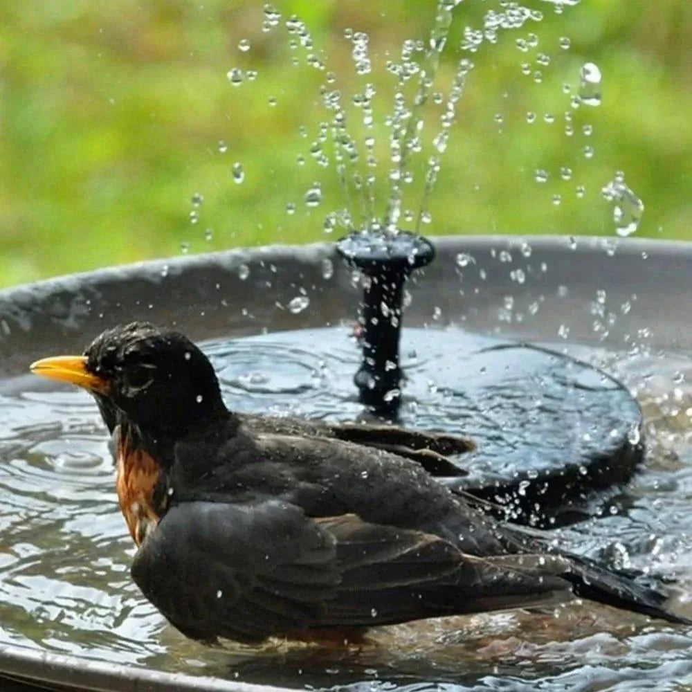 Solar Powered Water Fountain-60% OFF SALE