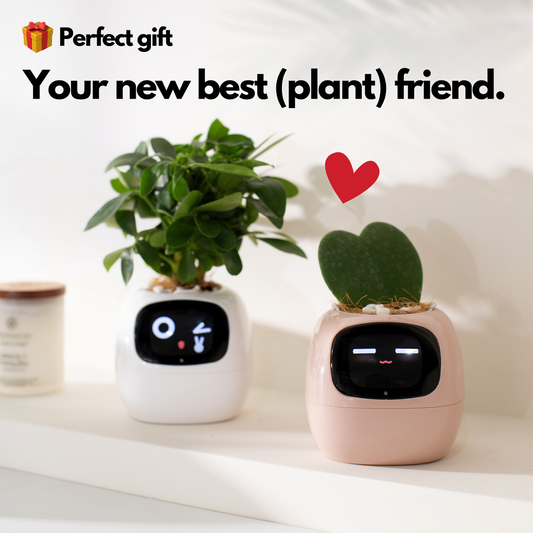 Smart Ai Plant Pot |⭐⭐⭐⭐ 32,000+ REVIEWS